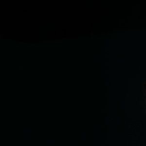 Meet your Posher, Shayna